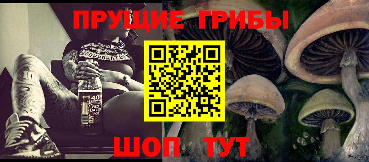 Шатура  Галлюциногенные грибы Psilocybine cubensis  Псилоцибиновые грибы MAGIC MUSHROOMS  Вход с VPN 