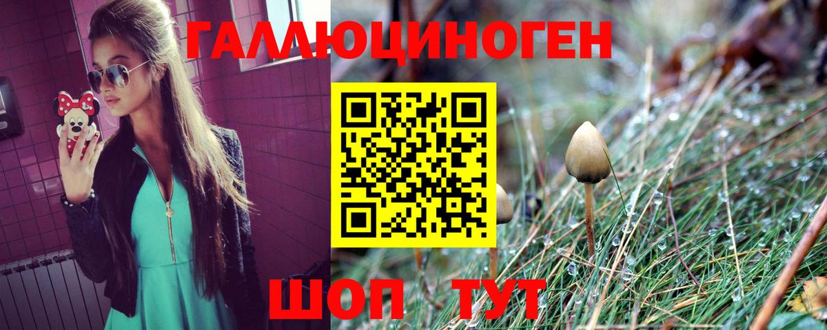 Псилоцибиновые грибы прущие грибы Шатура