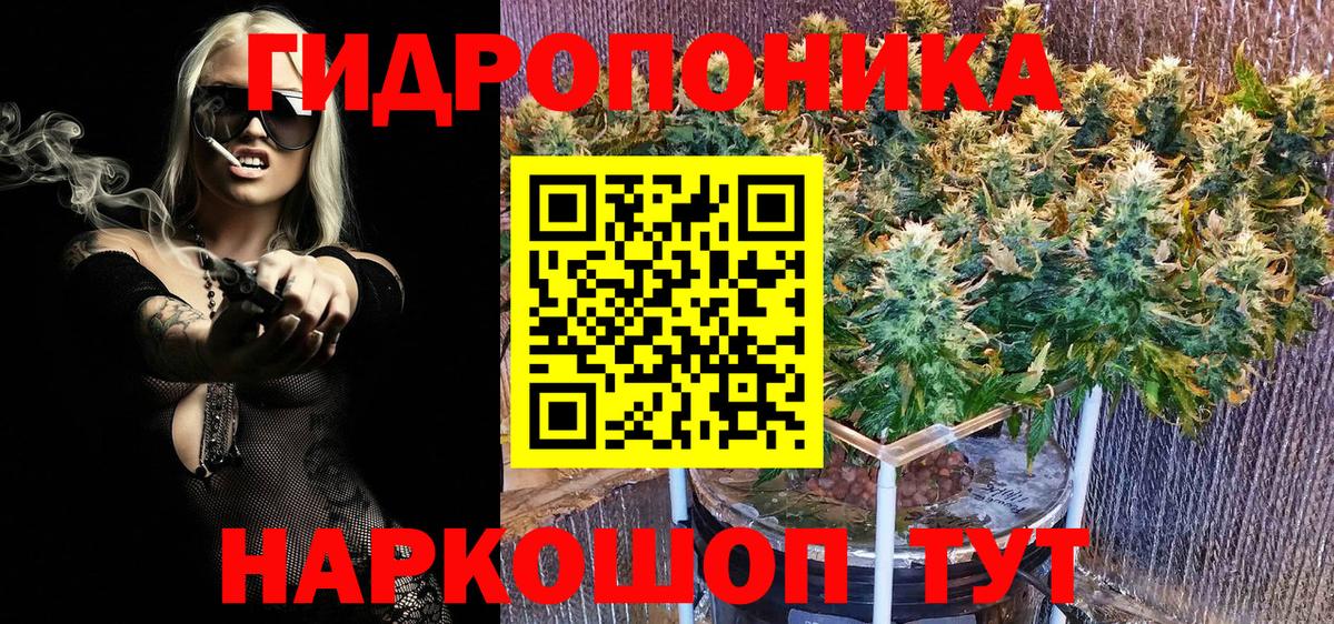 Бошки марихуана LSD WEED  Марихуана конопля  Шатура  Вход с VPN  Бошки Шишки сатива 